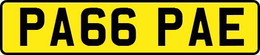 PA66PAE