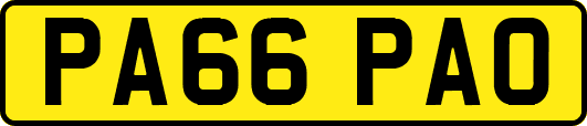 PA66PAO