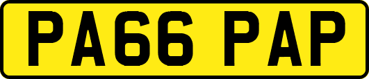 PA66PAP