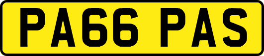 PA66PAS