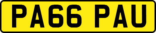 PA66PAU