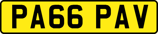 PA66PAV