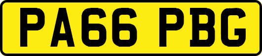 PA66PBG