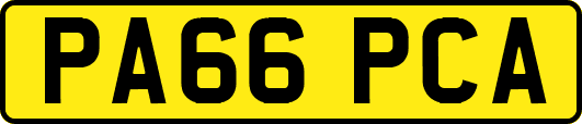 PA66PCA