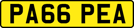 PA66PEA