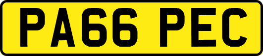 PA66PEC