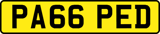 PA66PED
