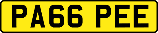 PA66PEE