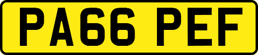 PA66PEF