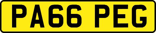 PA66PEG