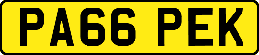 PA66PEK