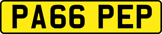 PA66PEP