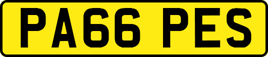 PA66PES