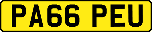 PA66PEU