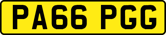 PA66PGG