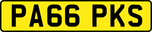 PA66PKS