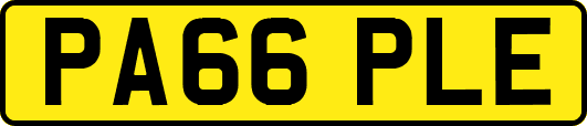 PA66PLE