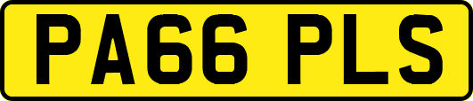 PA66PLS