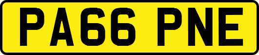 PA66PNE