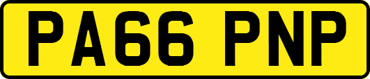 PA66PNP