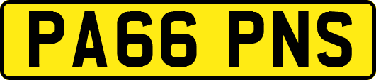 PA66PNS