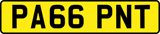 PA66PNT