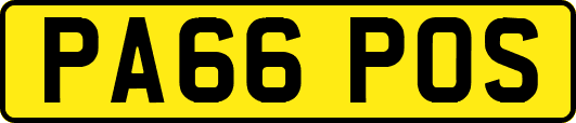 PA66POS