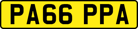PA66PPA