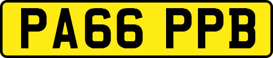 PA66PPB