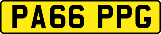 PA66PPG
