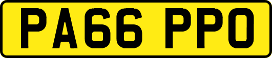 PA66PPO