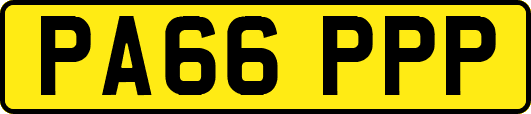 PA66PPP