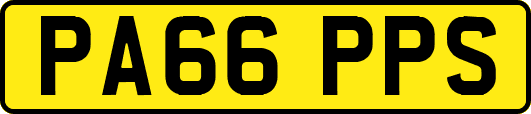 PA66PPS