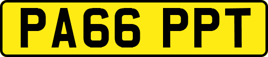 PA66PPT
