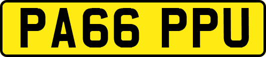 PA66PPU