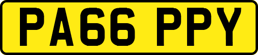 PA66PPY