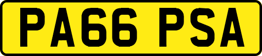PA66PSA