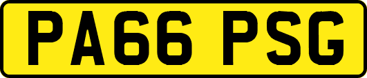 PA66PSG