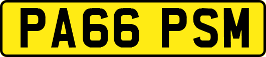 PA66PSM