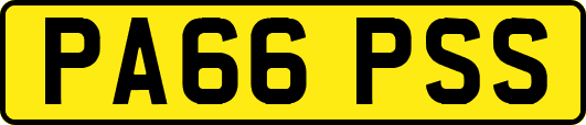 PA66PSS