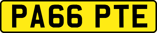 PA66PTE