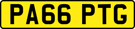 PA66PTG