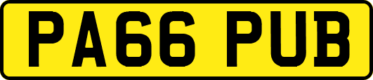 PA66PUB