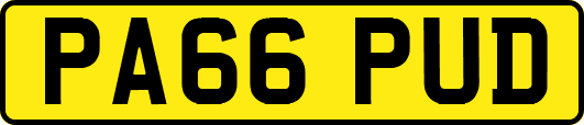 PA66PUD