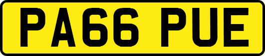 PA66PUE