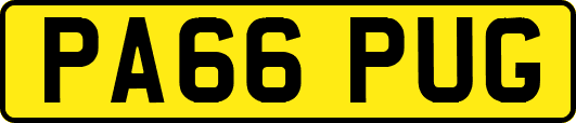 PA66PUG