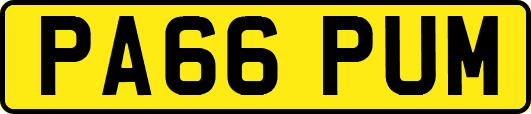 PA66PUM