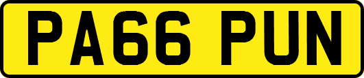 PA66PUN