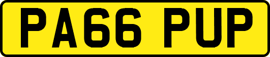 PA66PUP