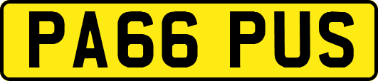 PA66PUS